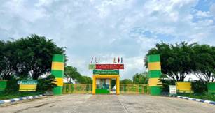 A yellow and green gate with trees and blue sky

Description automatically generated